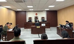 武汉法院爆料案件最新,惊天大案背后真相揭晓